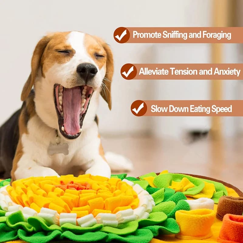 PawPuzzle Snuffle Mat thumbnail 5